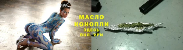 индика Саяногорск