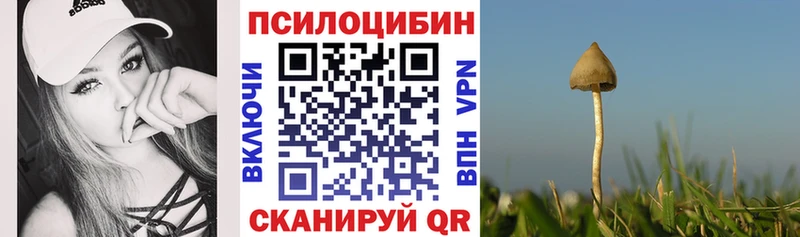 где купить наркотик  Бахчисарай  Галлюциногенные грибы Cubensis 