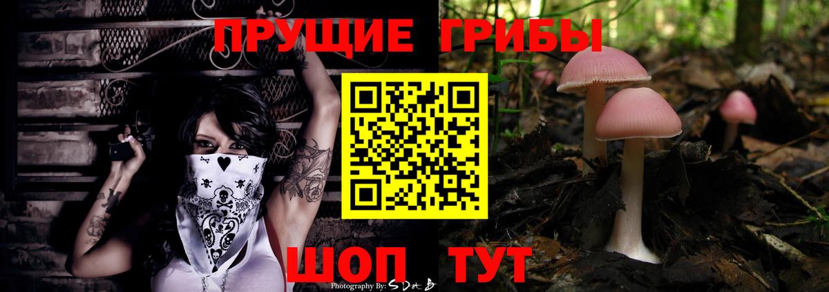 Галлюциногенные грибы Cubensis Бахчисарай